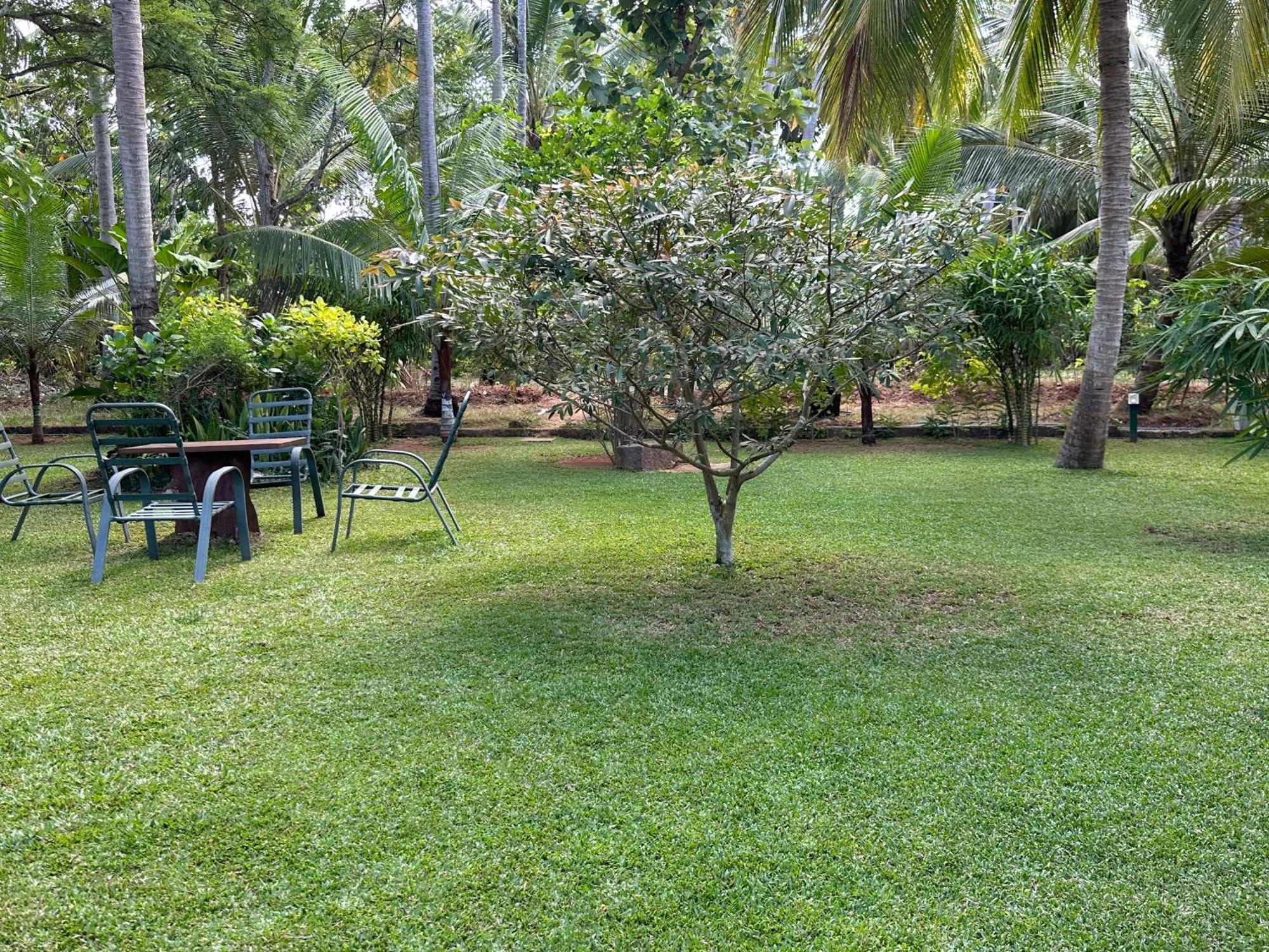 Hotel Heladiv Anuradhapura Exterior photo